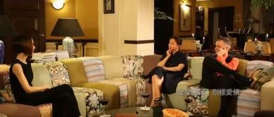 金星豪宅爆料视频网址,独家爆料视频带你领略奢华生活